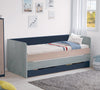 Studio Pull-out Bed (Trio)