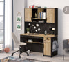 Black Study Unit