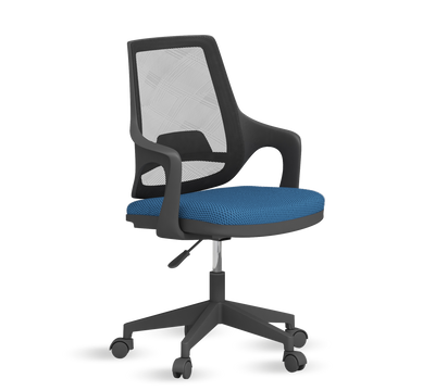 Flex Chair Blue